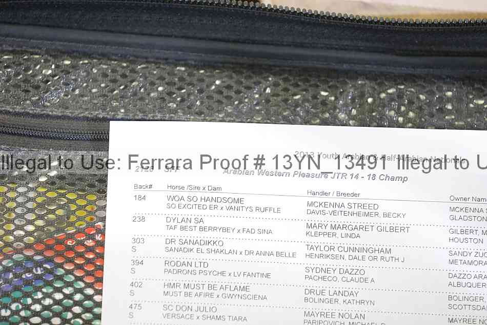 Proof 13yn_13491