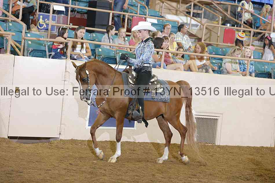 Proof 13yn_13516