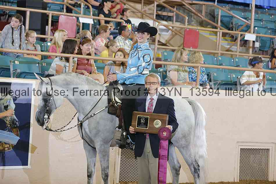 Proof 13yn_13594