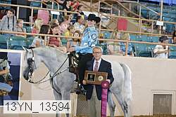 13yn_13594 proof