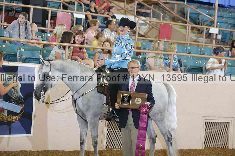 Proof 13yn_13595