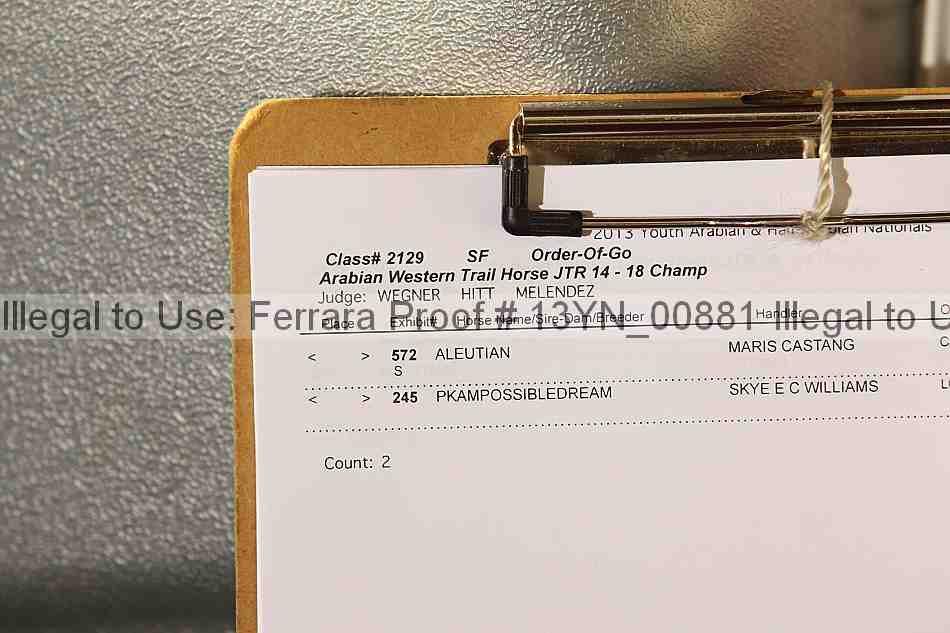 Proof 13yn_00881