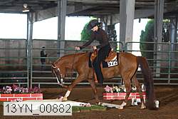 13yn_00882 proof