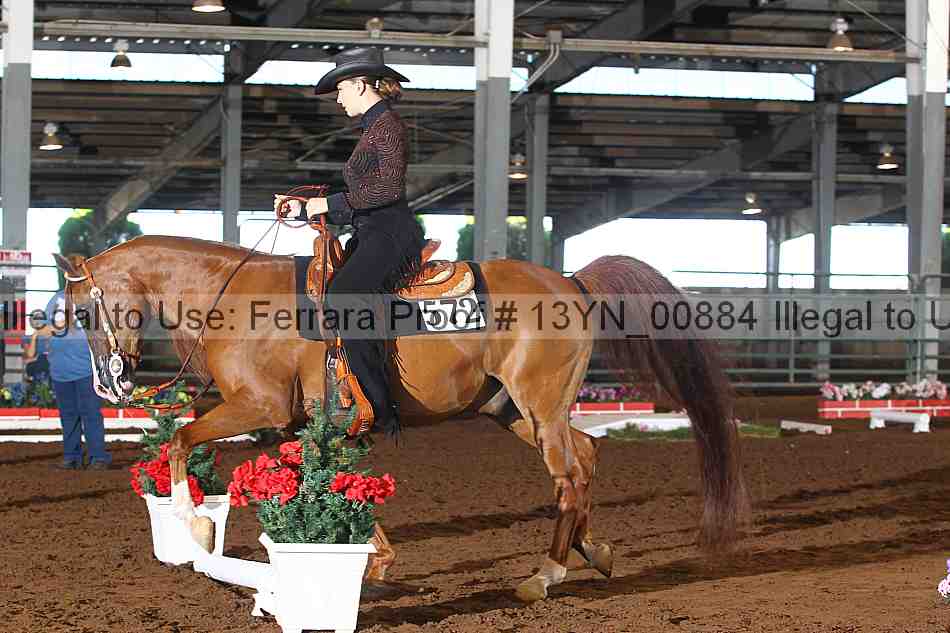 Proof 13yn_00884