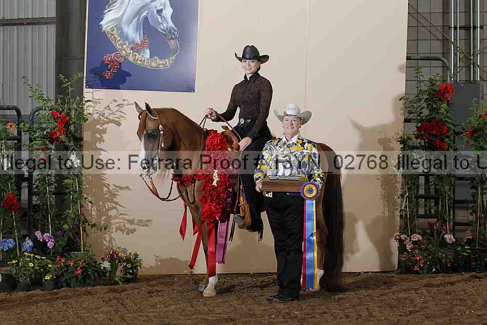 Proof 13yn_02768