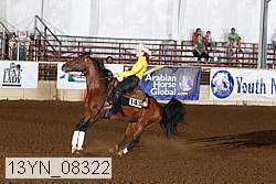 13yn_08322 proof