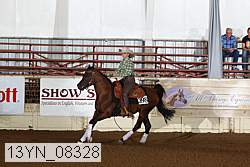 13yn_08328 proof