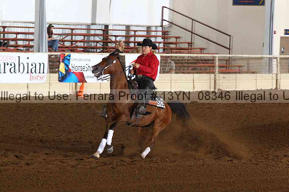 Proof 13yn_08346