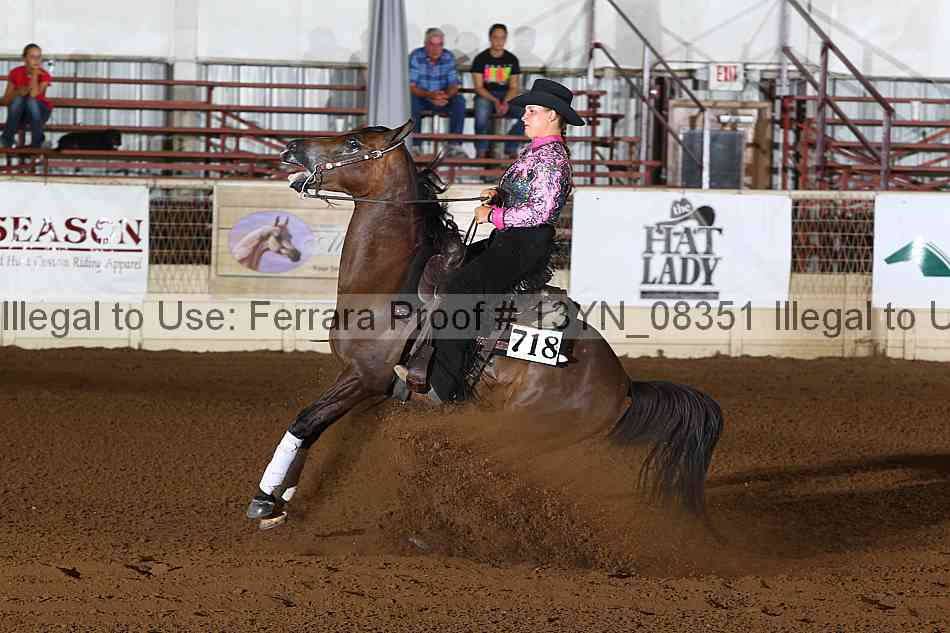 Proof 13yn_08351