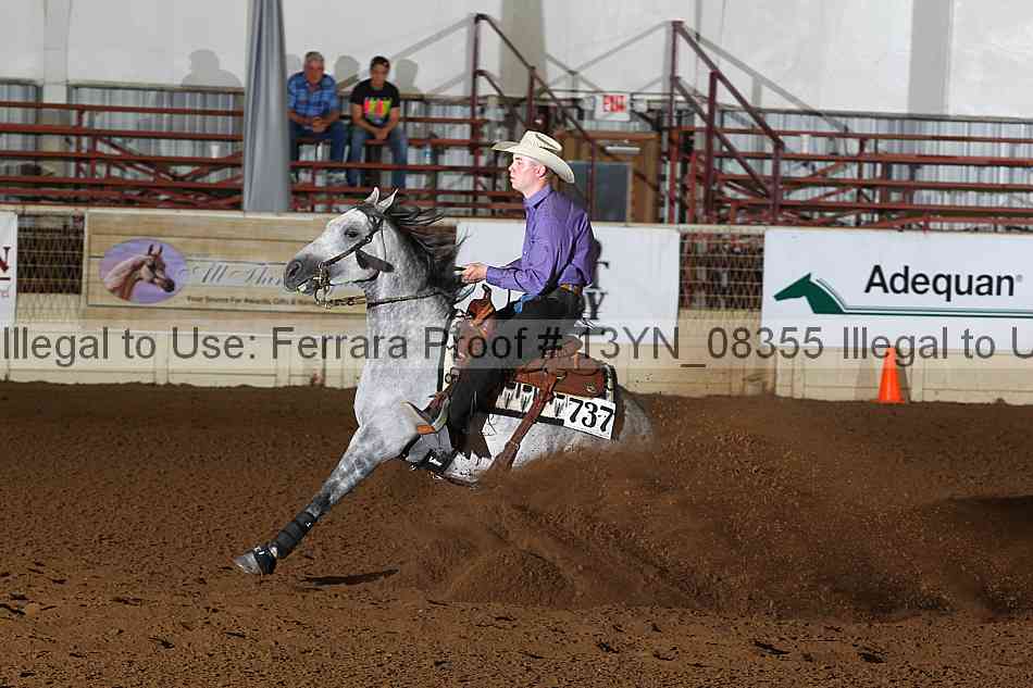 Proof 13yn_08355