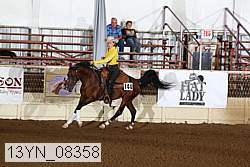 13yn_08358 proof