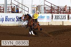 13yn_08363 proof