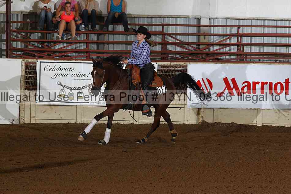 Proof 13yn_08366