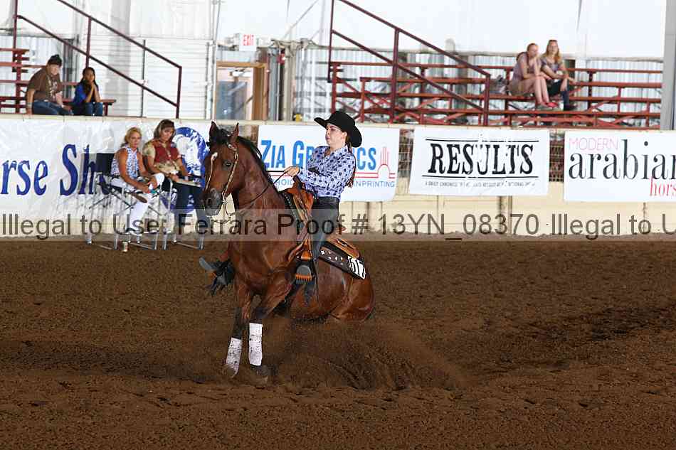 Proof 13yn_08370