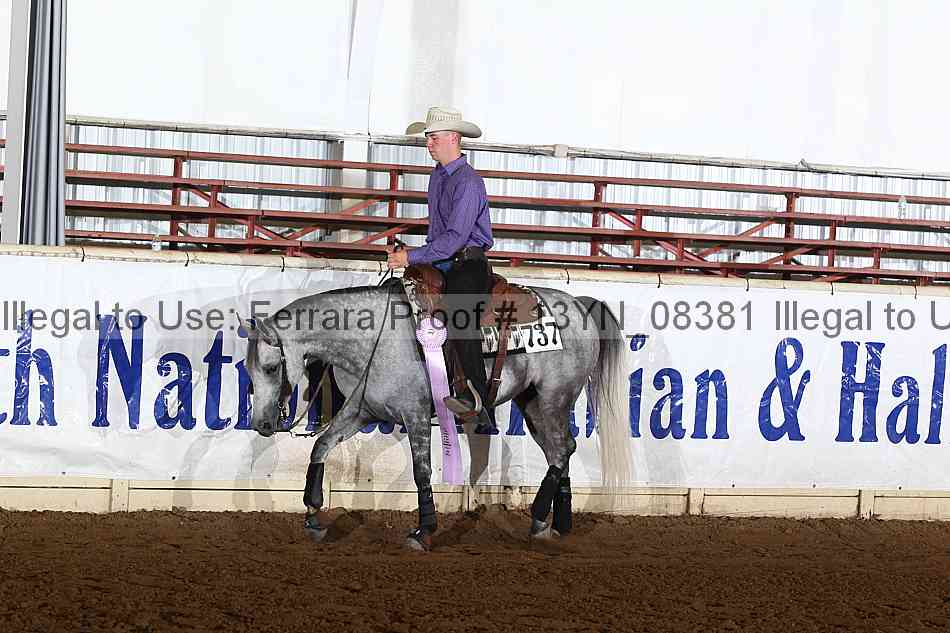 Proof 13yn_08381