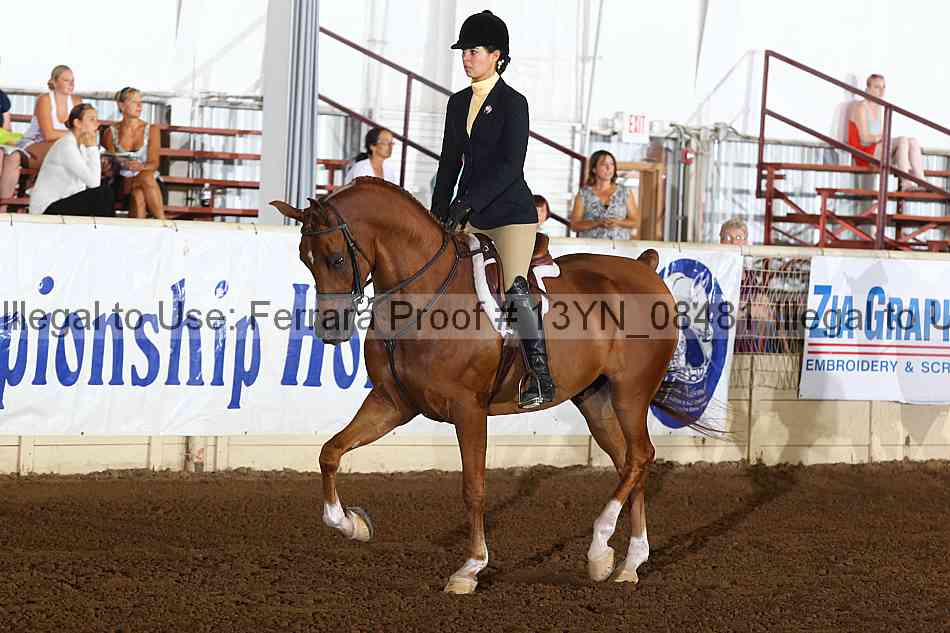 Proof 13yn_08481