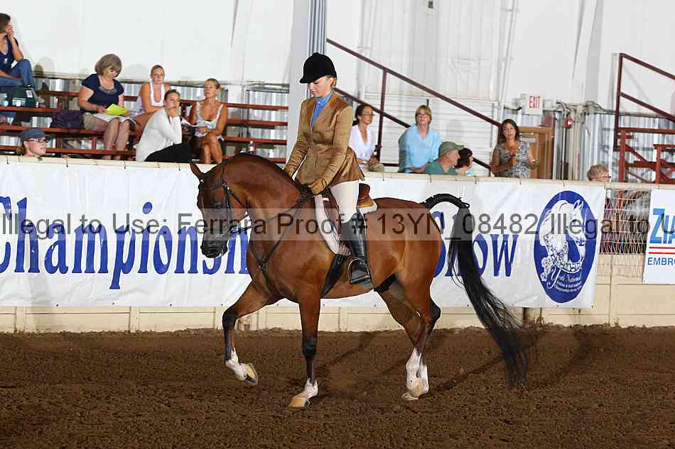 Proof 13yn_08482