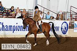 13yn_08482 proof