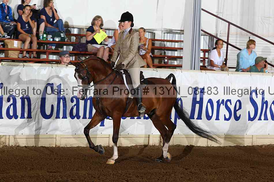 Proof 13yn_08483
