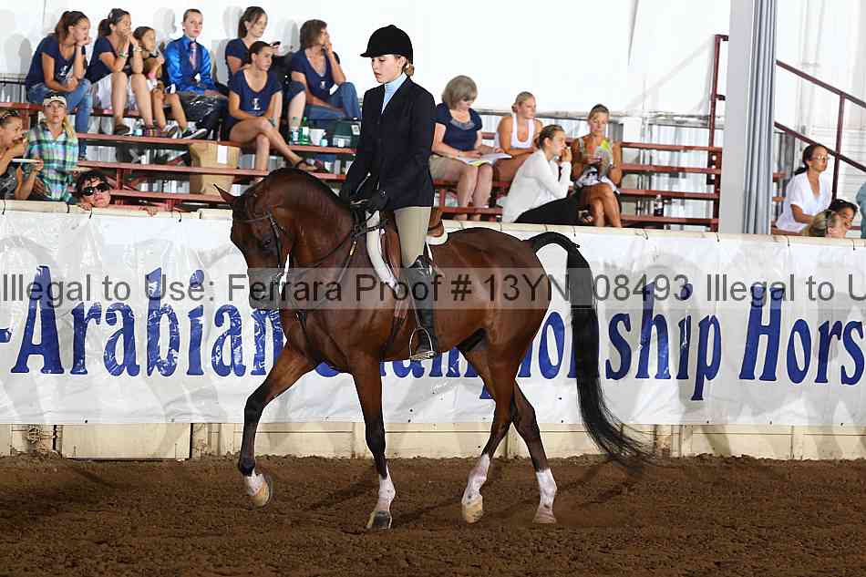 Proof 13yn_08493