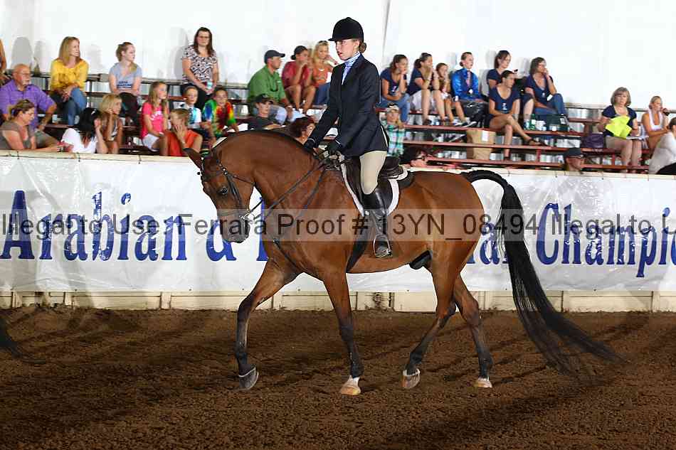 Proof 13yn_08494