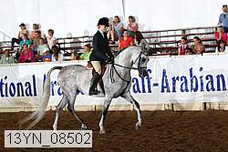 13yn_08502 proof