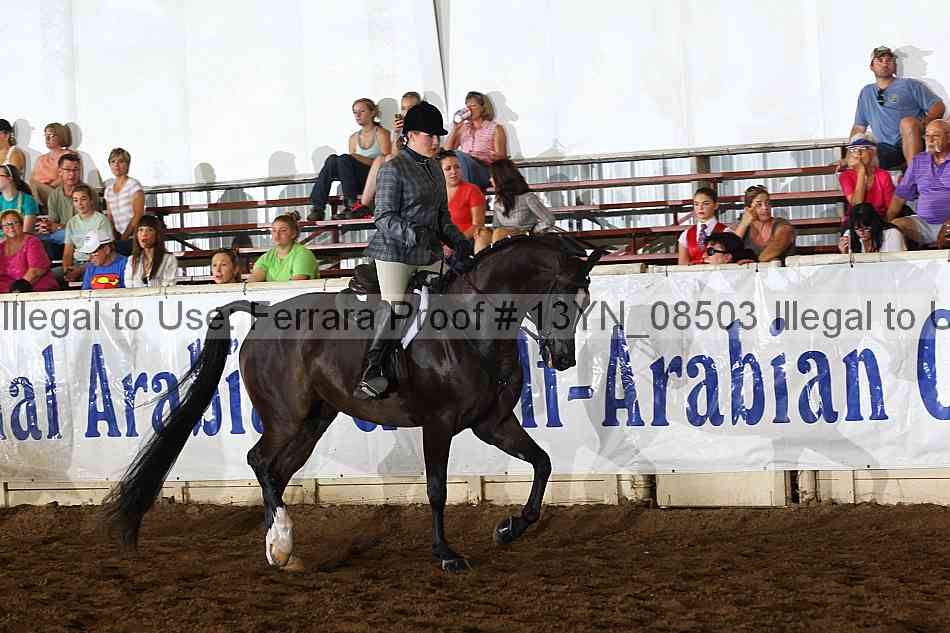 Proof 13yn_08503