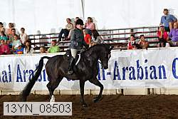 13yn_08503 proof