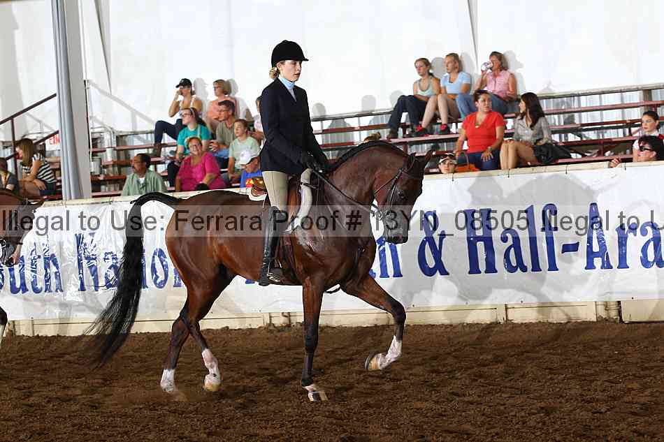 Proof 13yn_08505