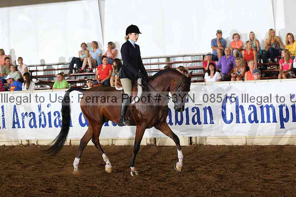 Proof 13yn_08515