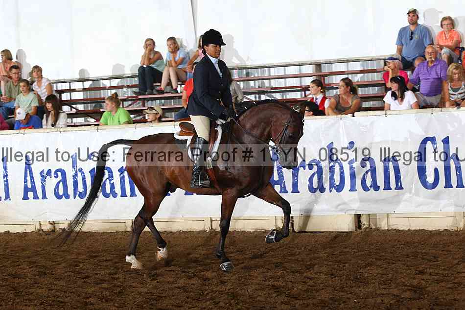 Proof 13yn_08519