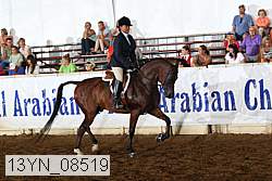 13yn_08519 proof