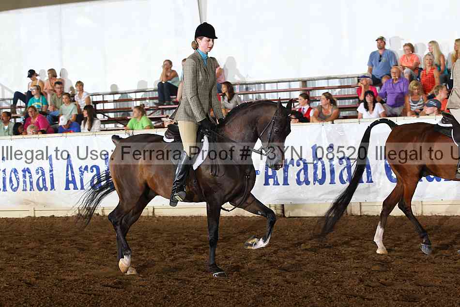 Proof 13yn_08520