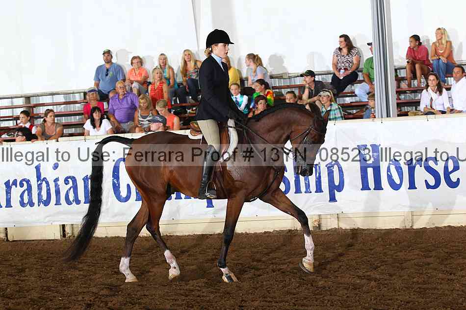 Proof 13yn_08523