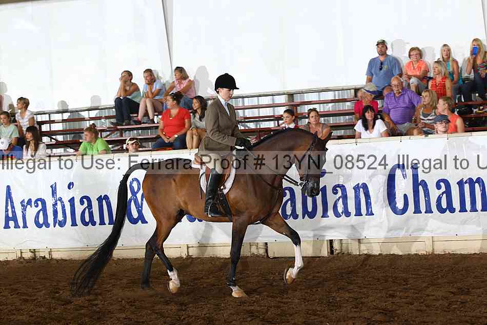 Proof 13yn_08524