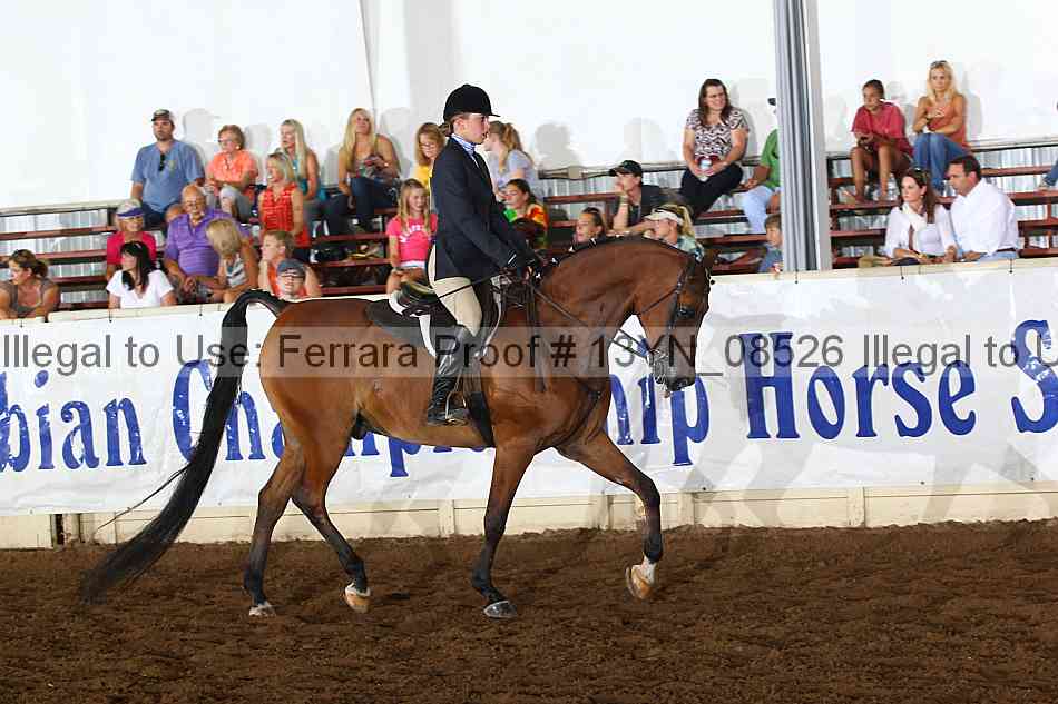 Proof 13yn_08526