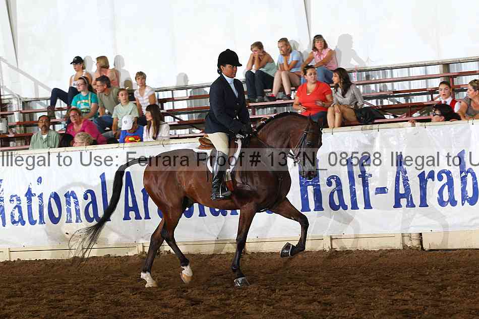 Proof 13yn_08528