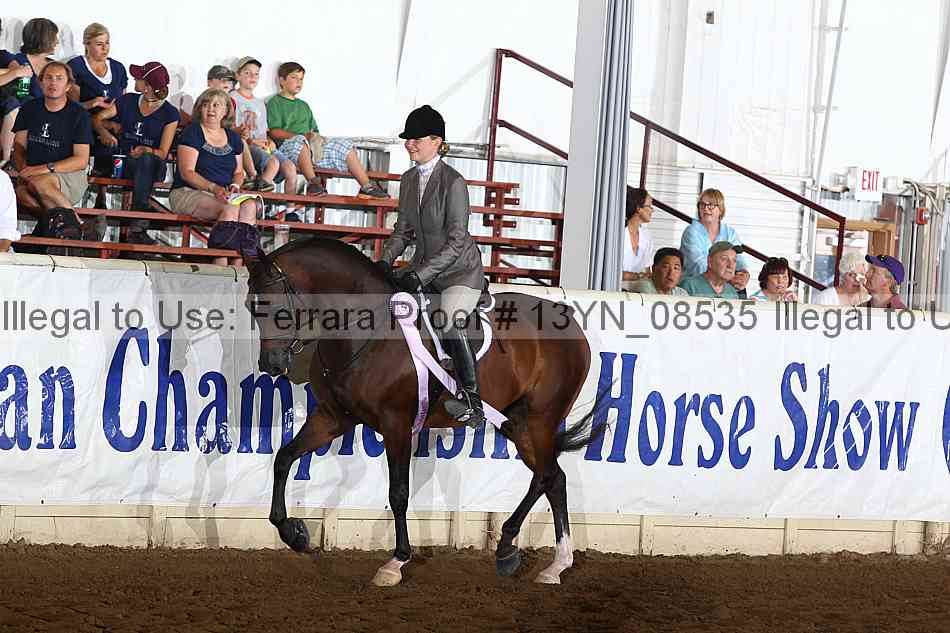 Proof 13yn_08535