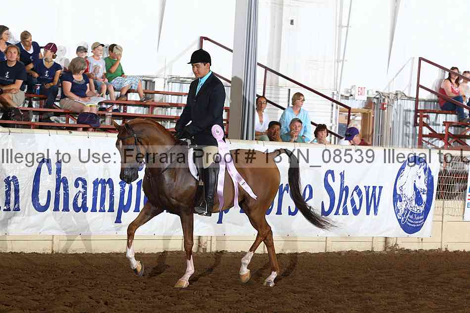 Proof 13yn_08539