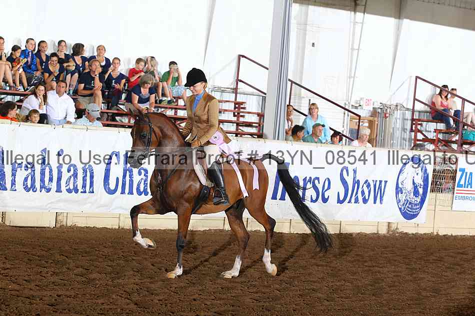Proof 13yn_08541