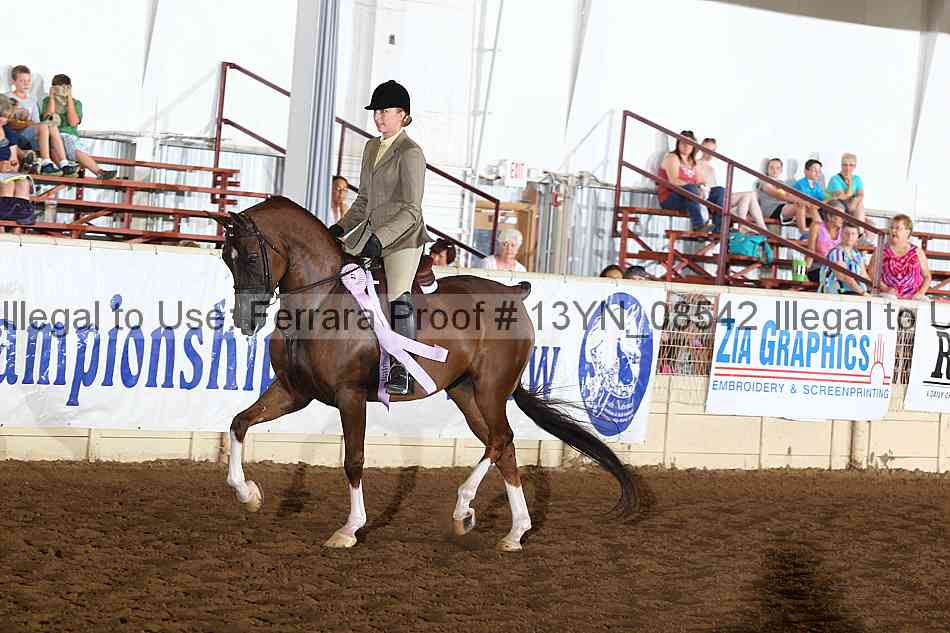 Proof 13yn_08542