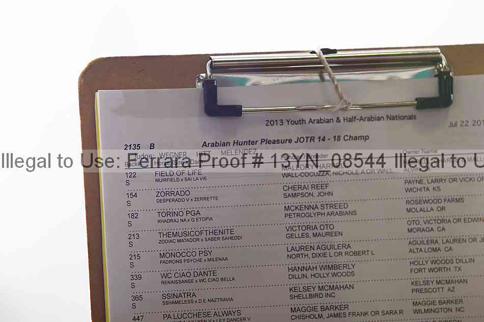 Proof 13yn_08544