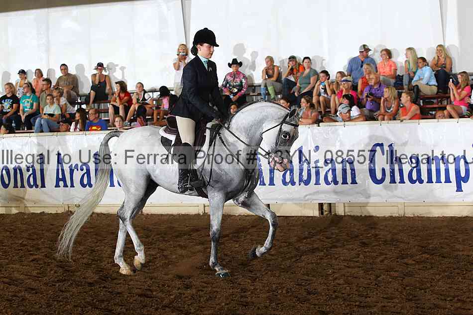 Proof 13yn_08557