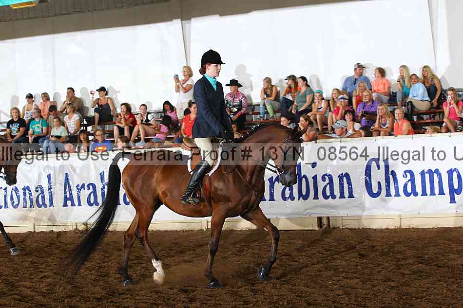 Proof 13yn_08564