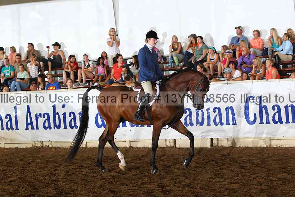 Proof 13yn_08566