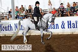 13yn_08575 proof