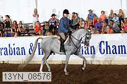 13yn_08576 proof