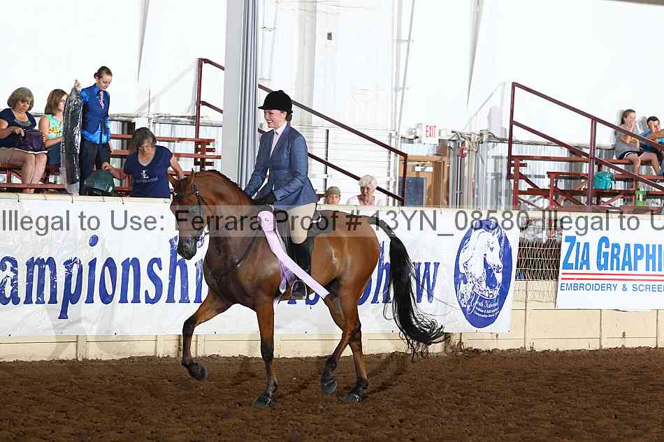 Proof 13yn_08580