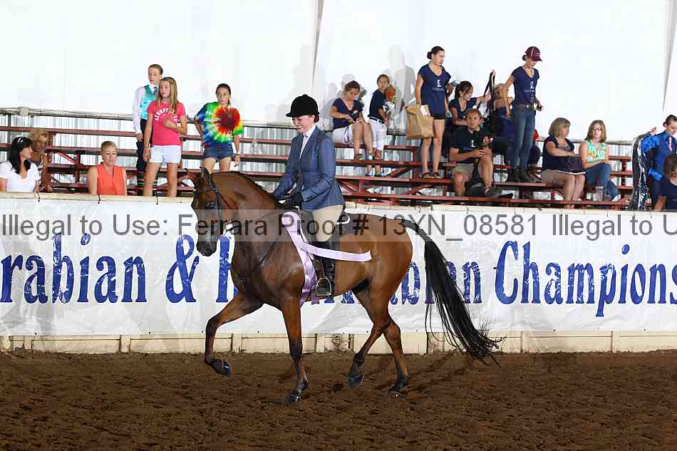 Proof 13yn_08581