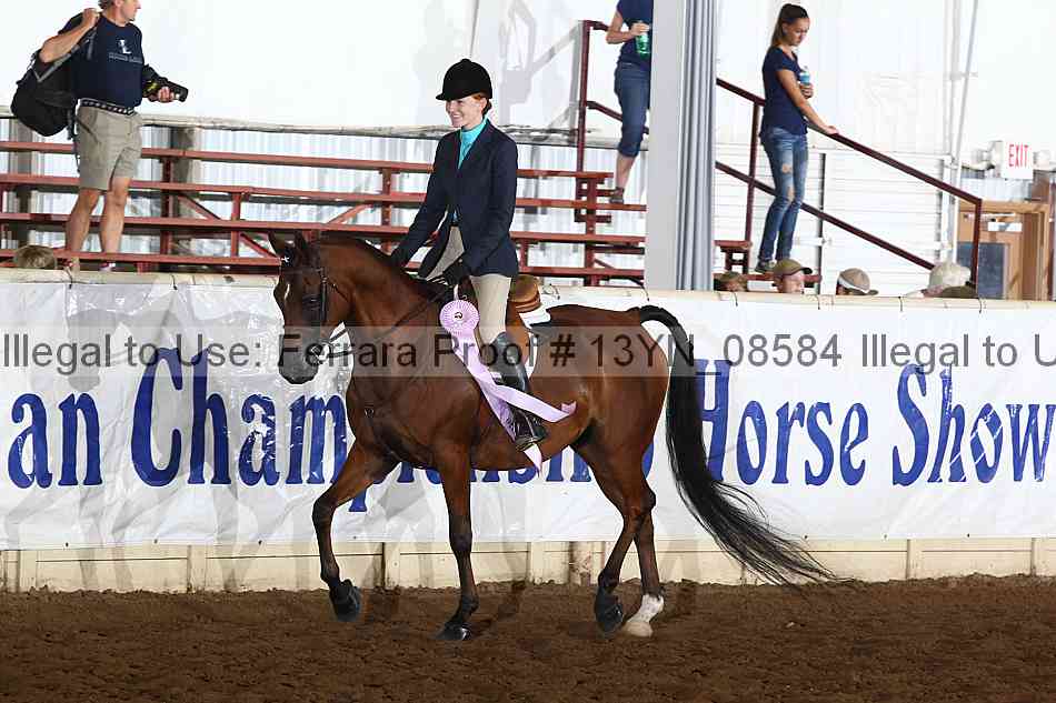 Proof 13yn_08584